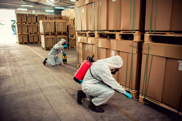 Best Wildlife Control Services  in Haskins, OH