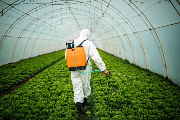 Professional Pest Control in Haskins, OH