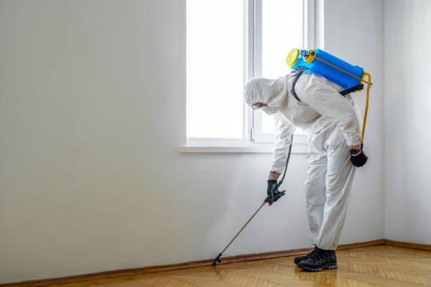 Best Mosquito Control Services  in Haskins, OH