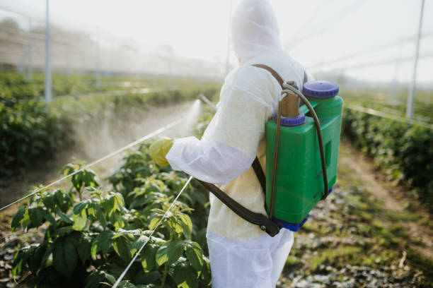 Pest Prevention Services in Haskins, OH